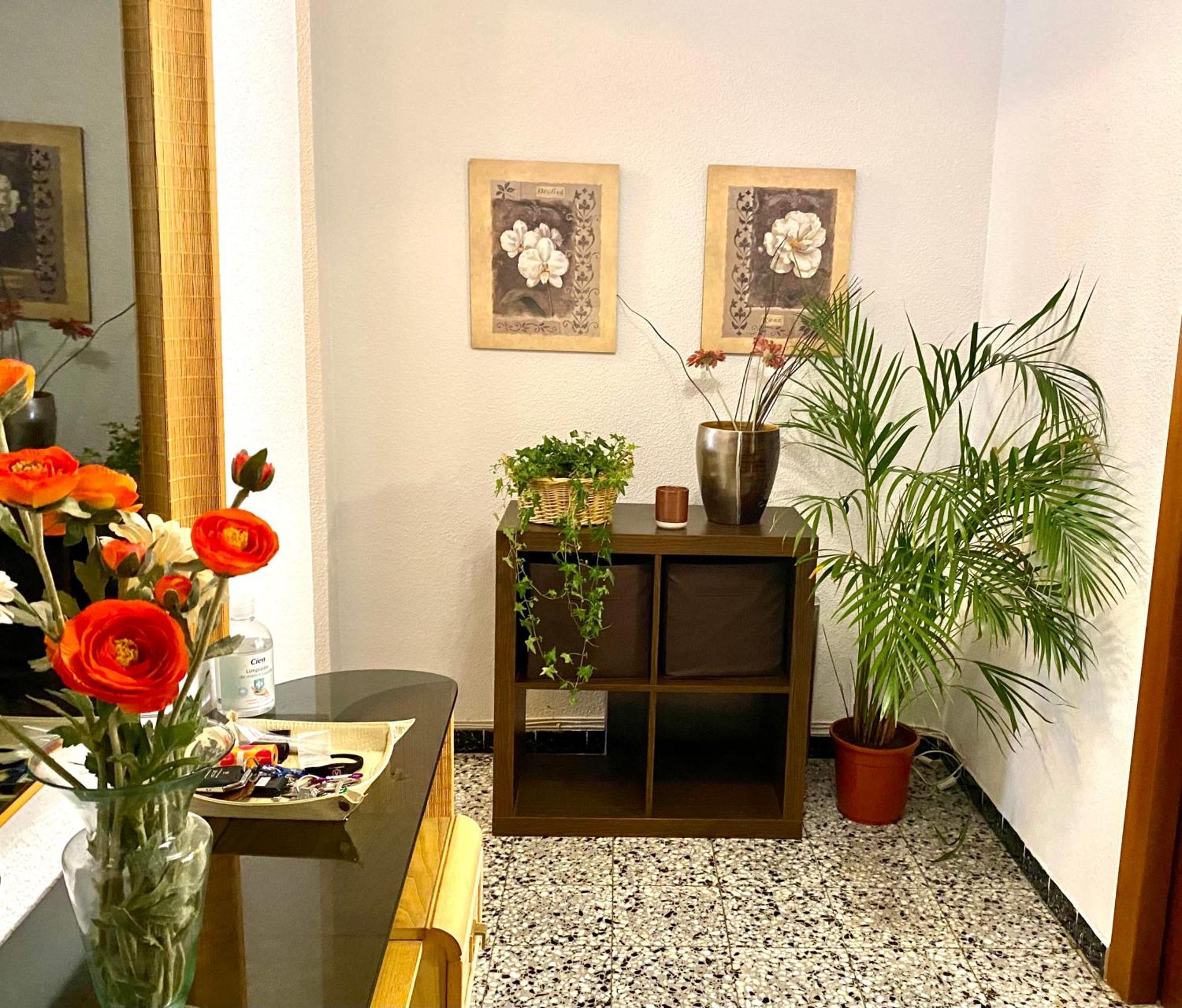 Habitacion My Home لقنت المظهر الخارجي الصورة